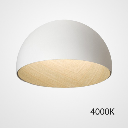 Потолочный светильник BARA B D50 White 4000К фото 1